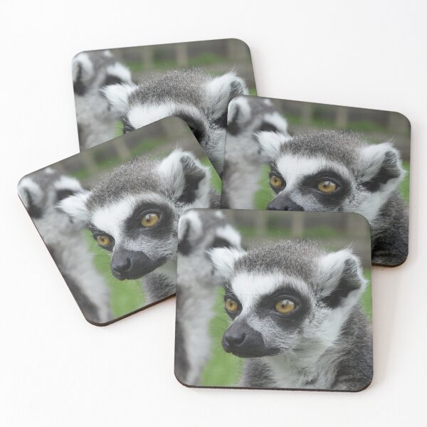 Item preview, Ringtail Lemur female (1) designed and sold by bizzielizzieart.