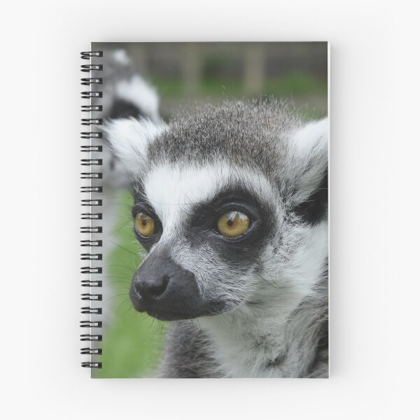 Item preview, Ringtail Lemur female (1) designed and sold by bizzielizzieart.