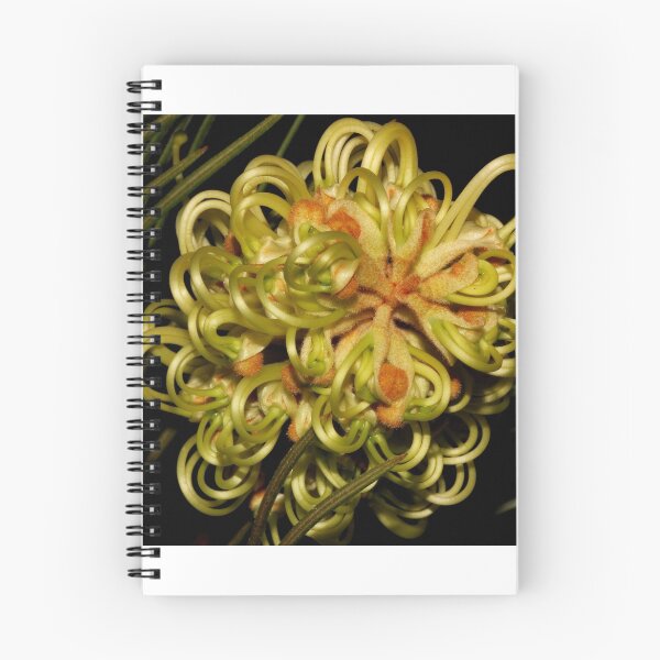 Item preview, grevillea hodgei designed and sold by andrachne.