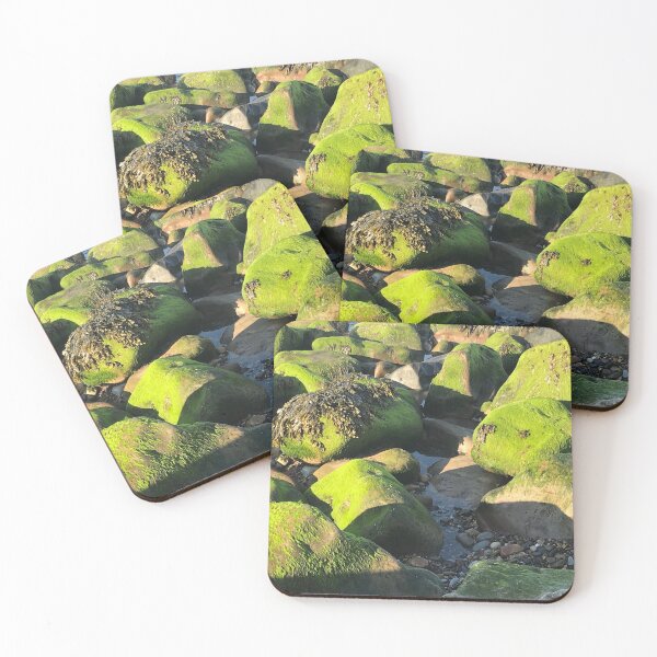 Item preview, Seaweed on rocks- sandsend beach designed and sold by bizzielizzieart.