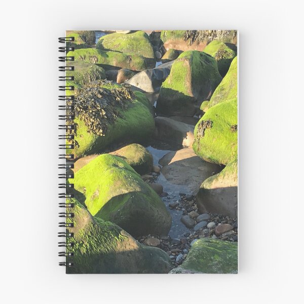 Item preview, Seaweed on rocks- sandsend beach designed and sold by bizzielizzieart.
