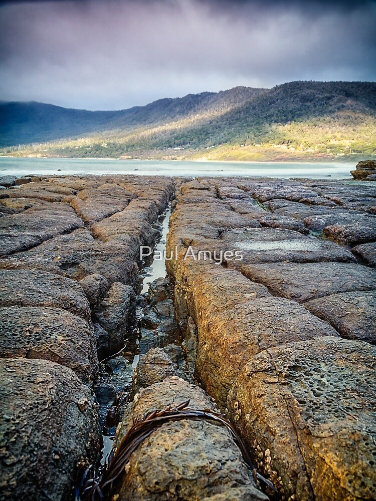 Tessellated Pavement by AmyesPhotograph