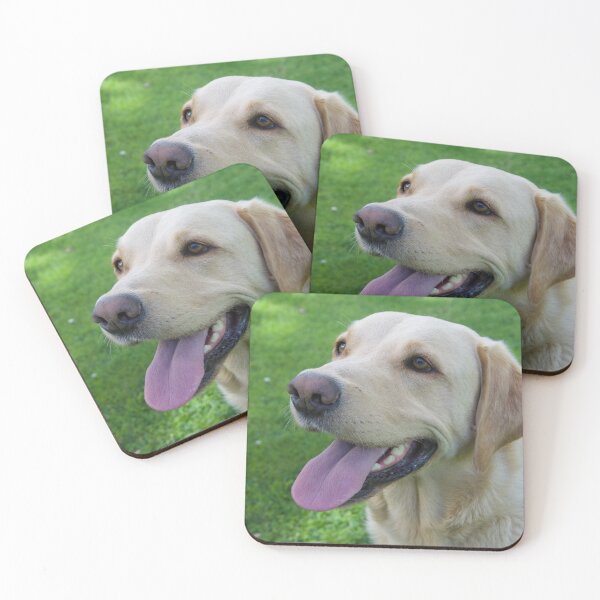 Item preview, Golden Labrador retriever Male photo designed and sold by bizzielizzieart.