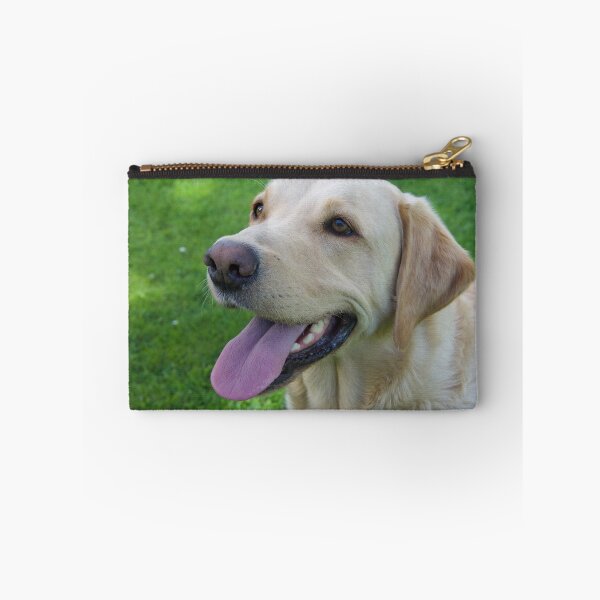 Item preview, Golden Labrador retriever Male photo designed and sold by bizzielizzieart.