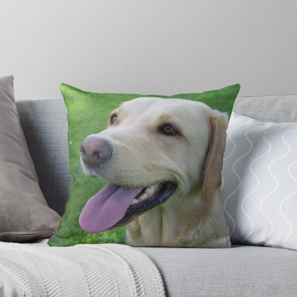 Item preview, Golden Labrador retriever Male photo designed and sold by bizzielizzieart.