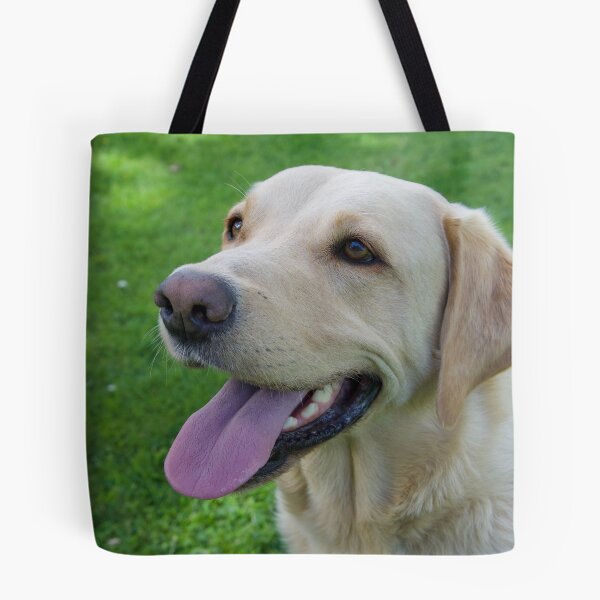 Item preview, Golden Labrador retriever Male photo designed and sold by bizzielizzieart.