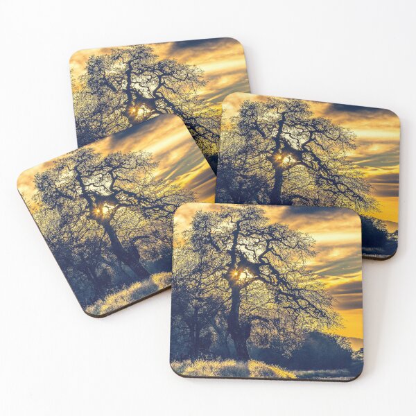 Item preview, Evensong - A Golden Sierra Sunset Shines Through an Oak Tree designed and sold by SusanEileenEvans.