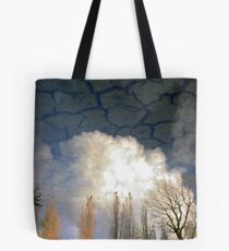 .015 Tote Bag