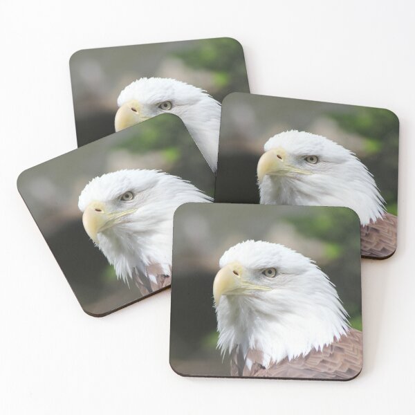 Item preview, American Bald Eagle - 3 designed and sold by SunnyImage.
