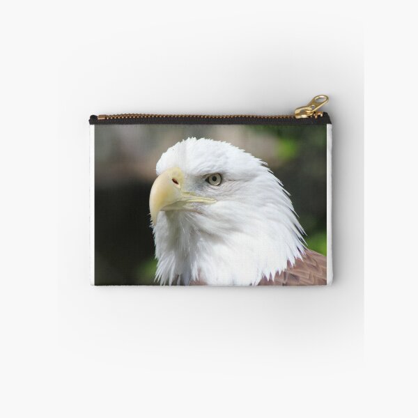 Item preview, American Bald Eagle - 3 designed and sold by SunnyImage.