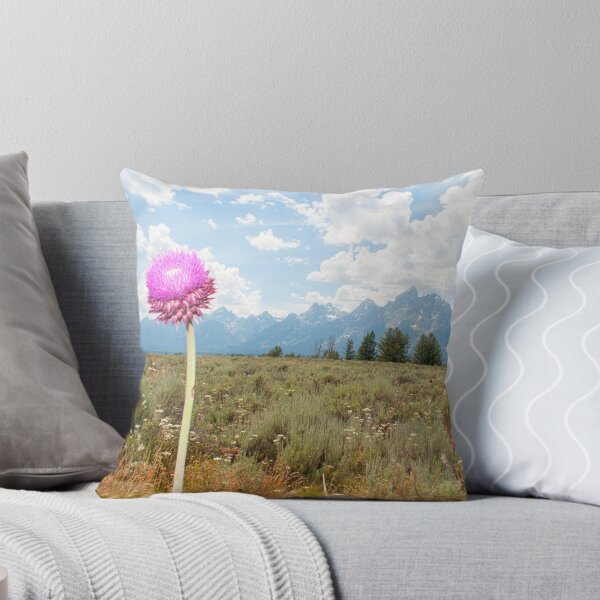 Item preview, Grand Teton National Park designed and sold by Caleb Ward.