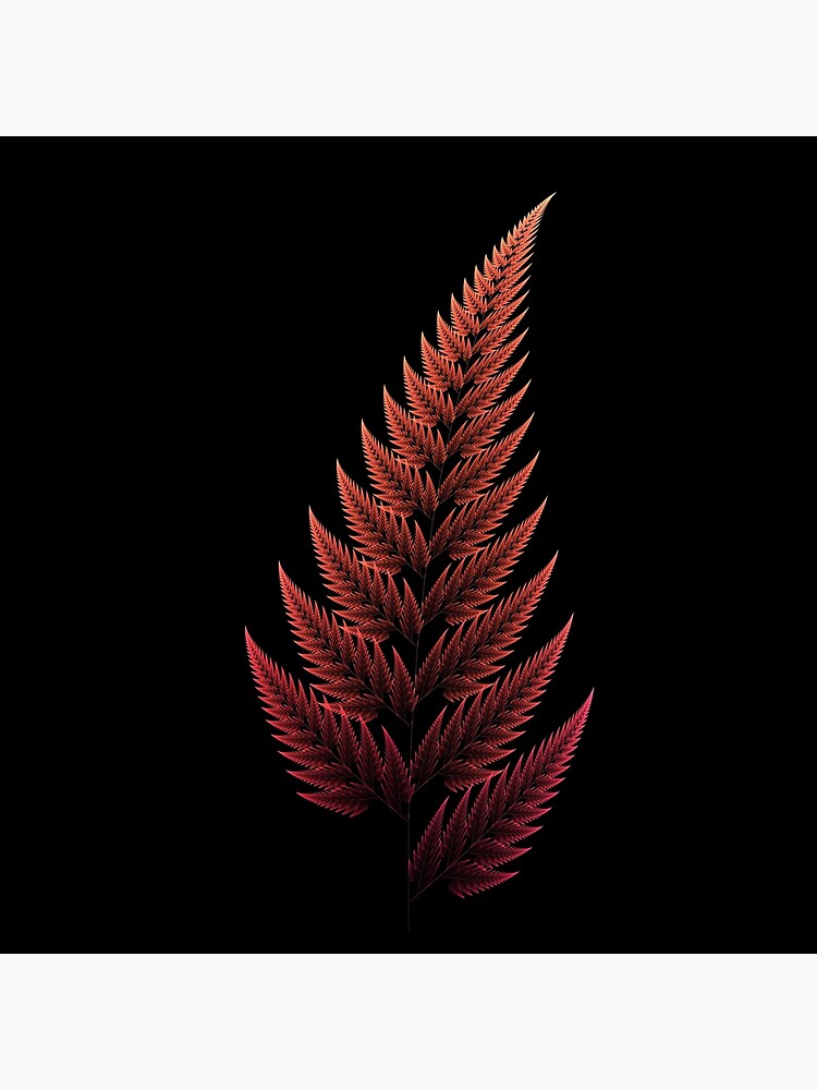 "Barnsley Fern" Canvas Print by tomtomwombat Redbubble