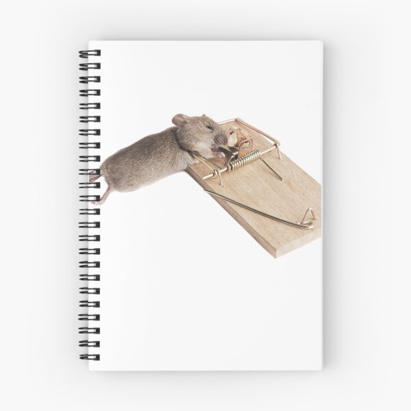 Item preview, Mouse in a mousetrap designed and sold by Claraveritas.