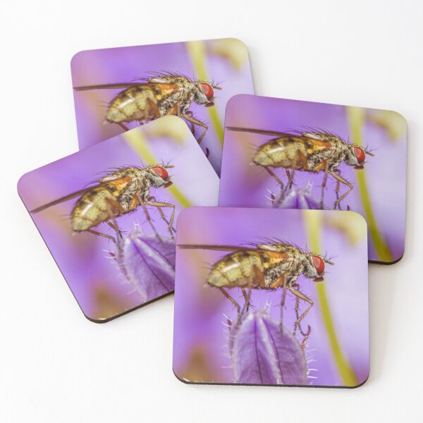 Item preview, Fly designed and sold by Gary Chadbond Photography.