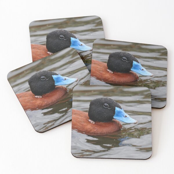 Item preview, Ruddy duck designed and sold by GreyFeatherPhot.
