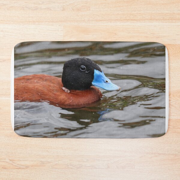 Item preview, Ruddy duck designed and sold by GreyFeatherPhot.