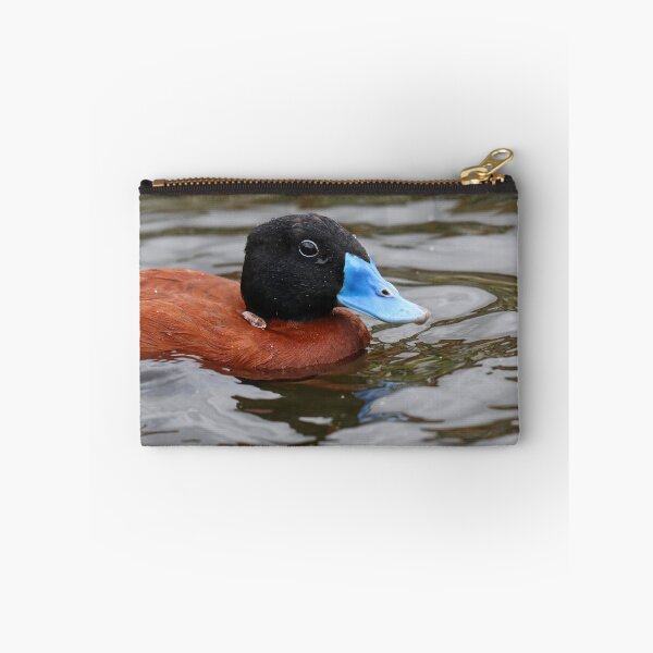 Item preview, Ruddy duck designed and sold by GreyFeatherPhot.