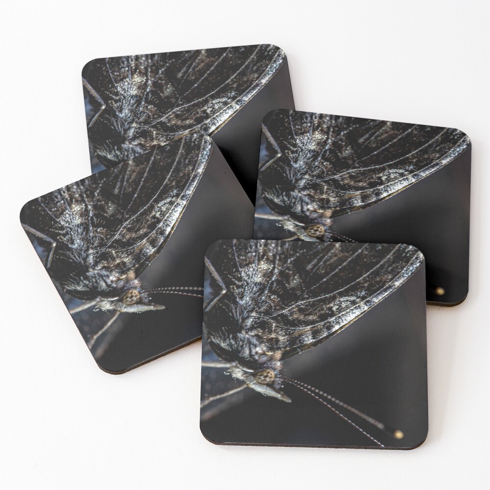 Item preview, Coasters (Set of 4) designed and sold by Bykowski.