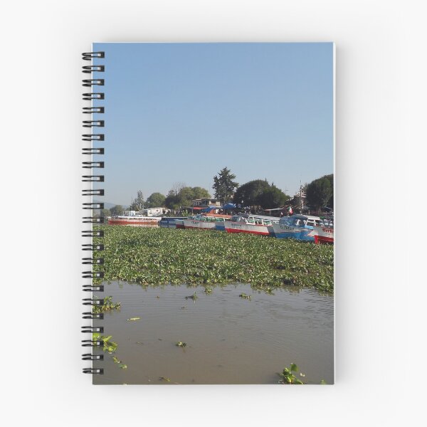 Item preview, ©MS Embarcadero Patzcuaro IA. designed and sold by OmarHernandez.