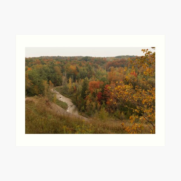 Fall Leaves Art Print