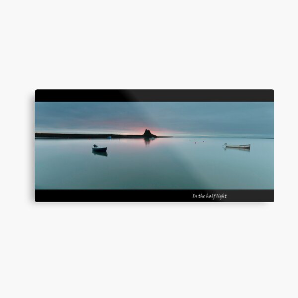 Half Light Metal Print
