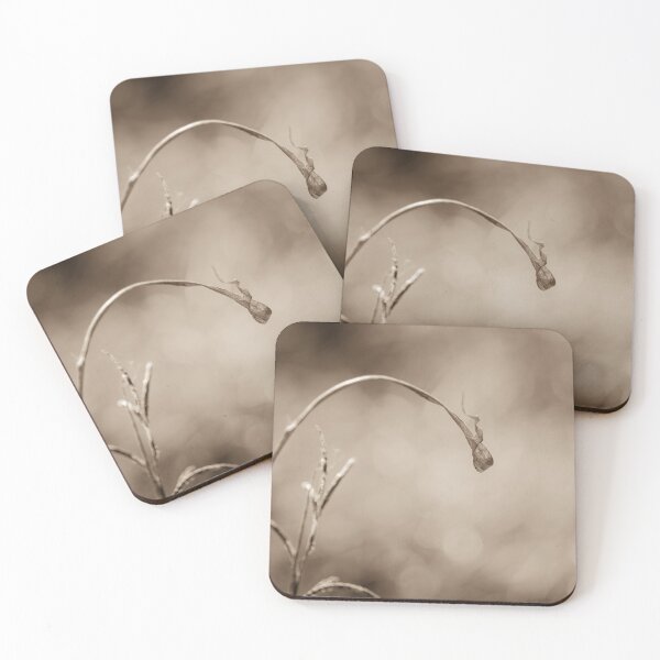 Item preview, Nature's Art designed and sold by Clare Colins.