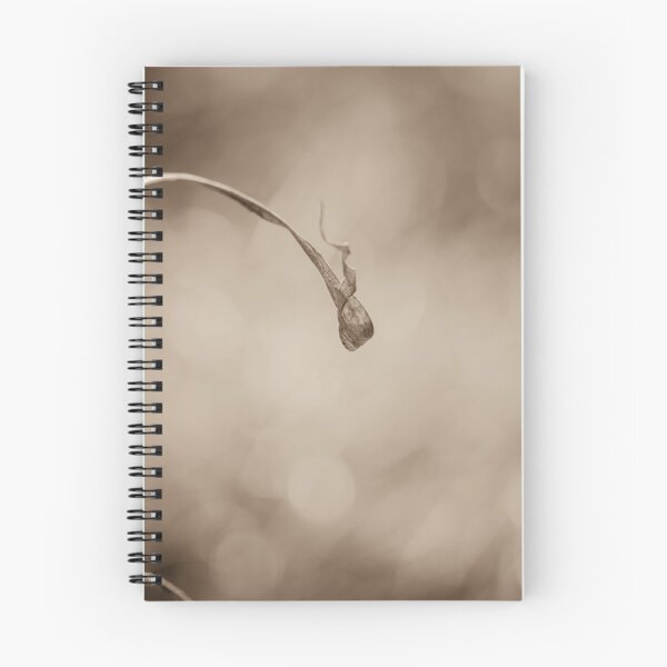 Item preview, Nature's Art designed and sold by Clare Colins.