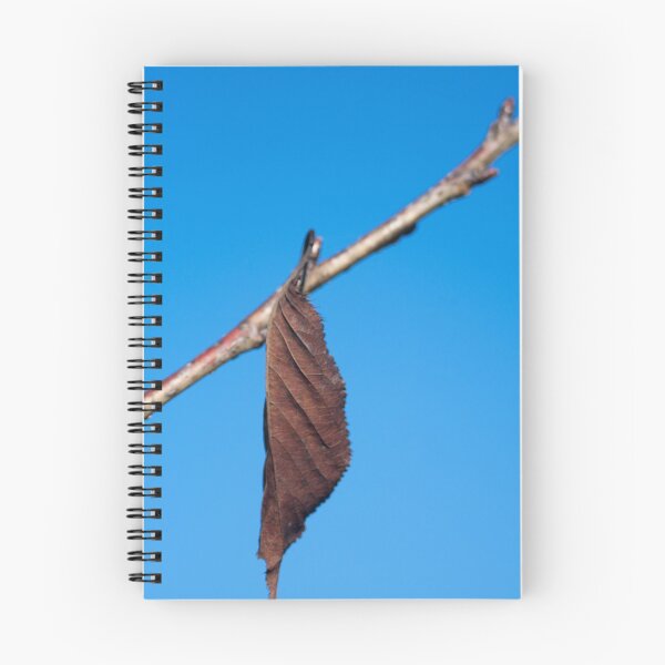 Item preview, The Last Leaf on the Tree designed and sold by Clare Colins.
