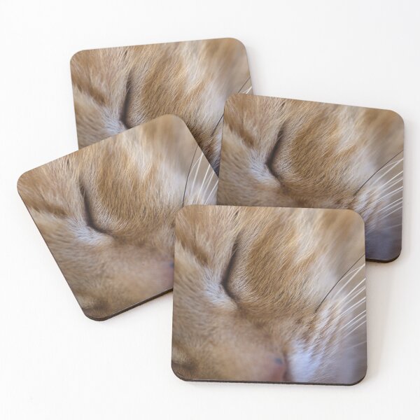 Item preview, Catface designed and sold by Clare Colins.