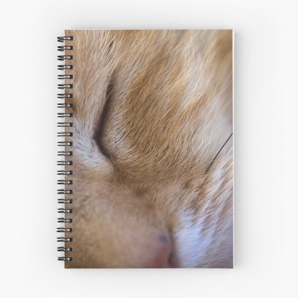 Item preview, Catface designed and sold by Clare Colins.