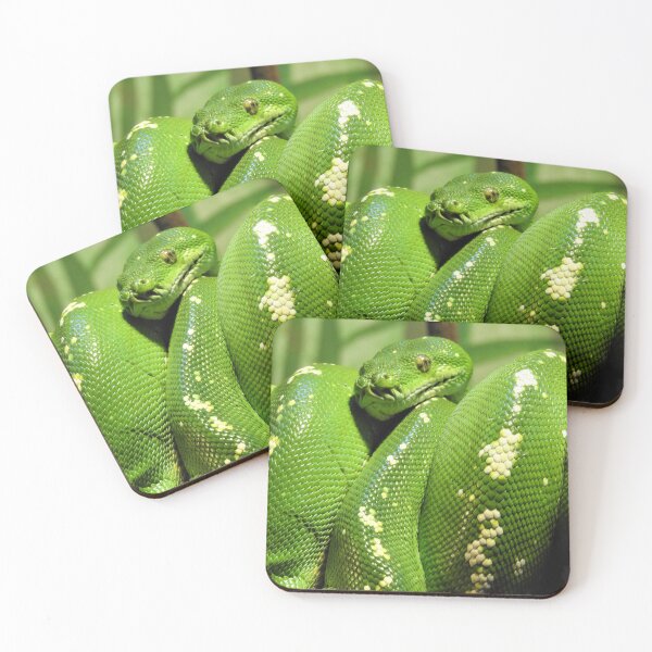 Item preview, Green Tree Python designed and sold by kirstybush.