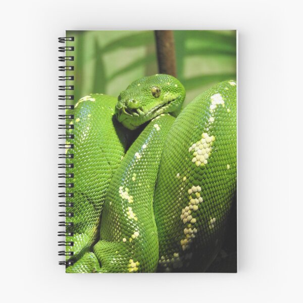 Item preview, Green Tree Python designed and sold by kirstybush.
