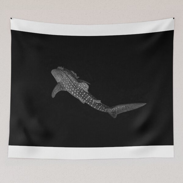 Item preview, Whale Shark Black and White designed and sold by Ollieunderwater.
