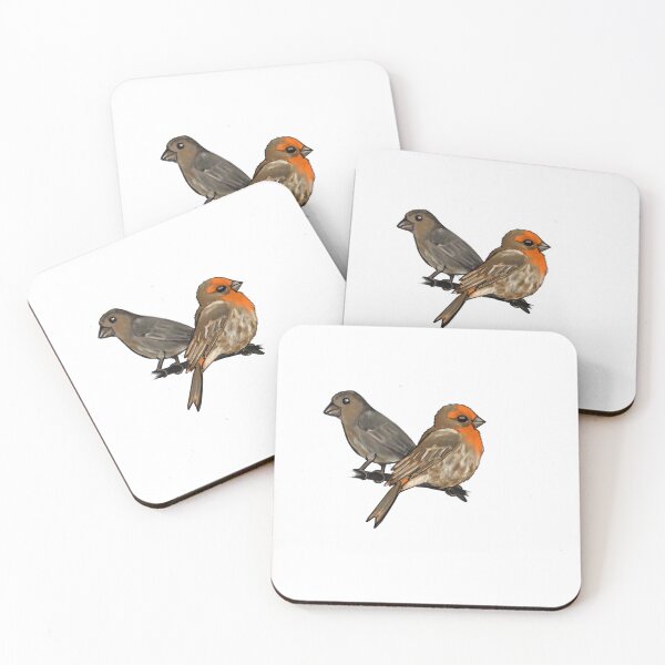 Item preview, House Finches designed and sold by Allison Campbell.