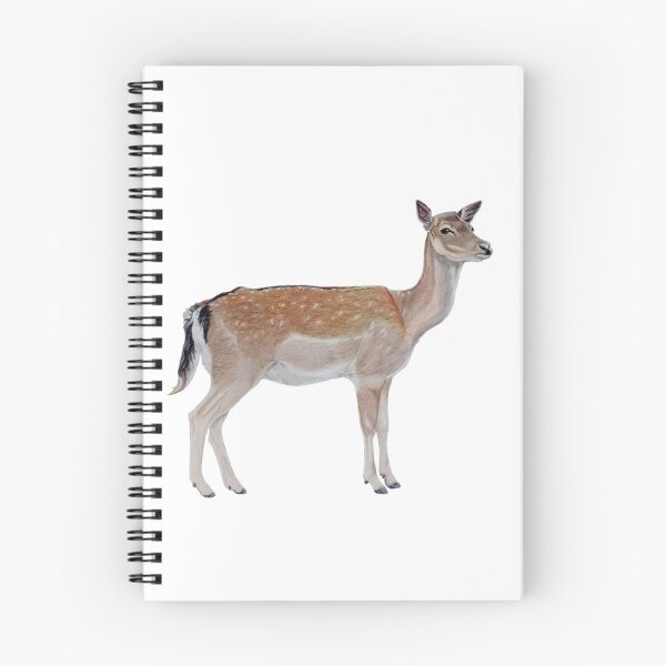 Item preview, Fallow Deer designed and sold by AuntieBetty.