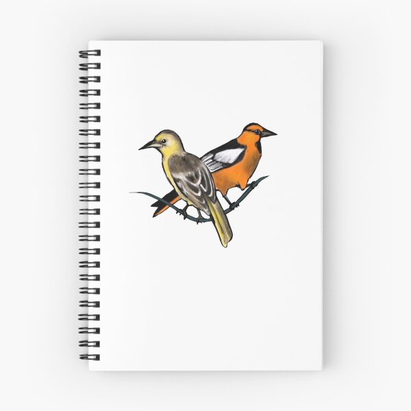 Artikelvorschau, Bullocks Orioles entworfen und verkauft von Allison Campbell.