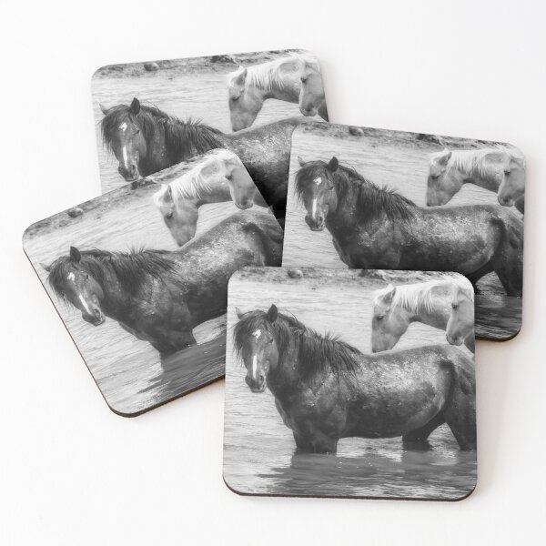 Item preview, Bathing Beauties bw designed and sold by Belinda Greb Photography.