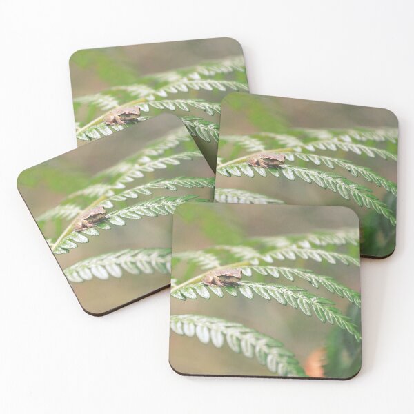Item preview, Itty Bitty Fern Frog designed and sold by Cloudlingpics.