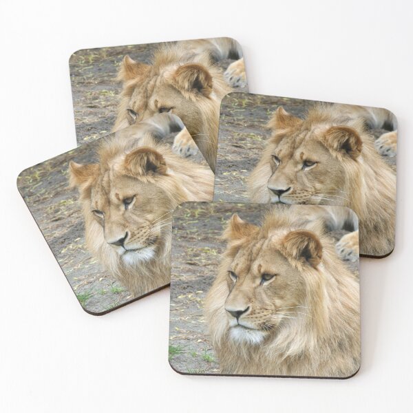 Item preview, Lion 011 designed and sold by JAMFoto.