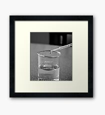 Beaker 1 Framed Print