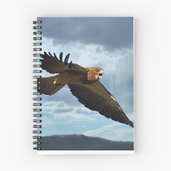 Item preview, Angry Hawk designed and sold by Steven Sullivan.