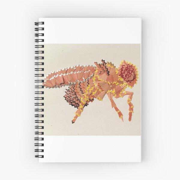Item preview, Fruit Fly Pencil Sharpening Collage designed and sold by DaniEdmunds.