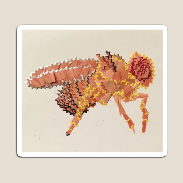 Fruit Fly Pencil Sharpening Collage Magnet