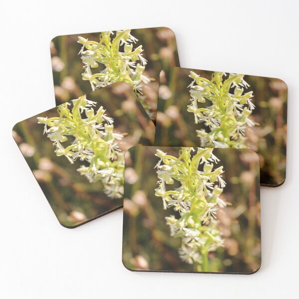 Item preview, White Fringed Orchid designed and sold by Kathleen Daley.