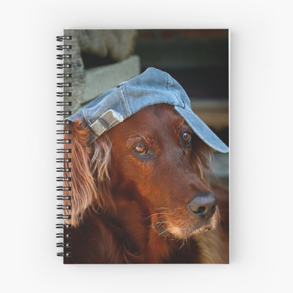 Item preview, Irish setter designed and sold by laura-S.
