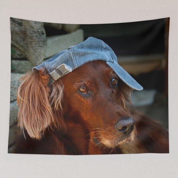 Item preview, Irish setter designed and sold by laura-S.