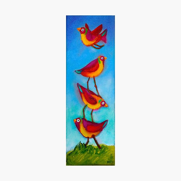Bird Stack Photographic Print