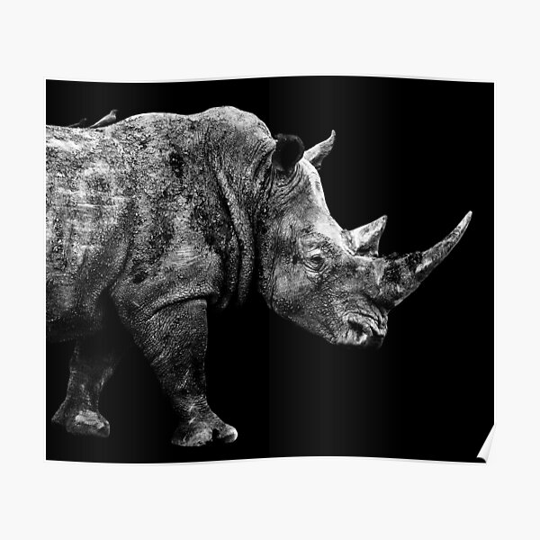 SAFARI PROFILE - RHINO BLACK EDITION Poster
