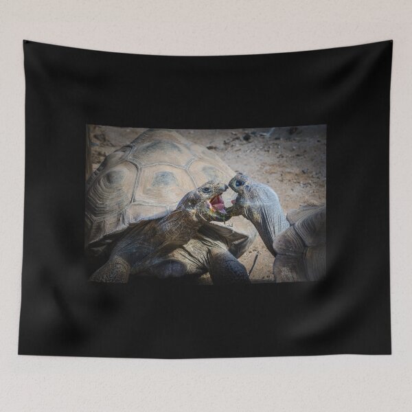 Item preview, Tortoises designed and sold by Kyra C. Kalageorgi.