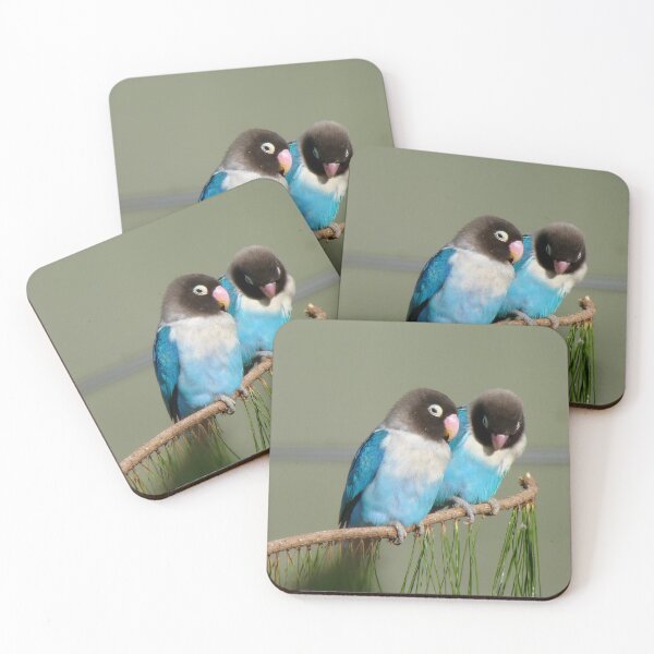 Item preview, I Am Listening, Carry On....Blue Masked Lovebirds - NZ designed and sold by AndreaEL.